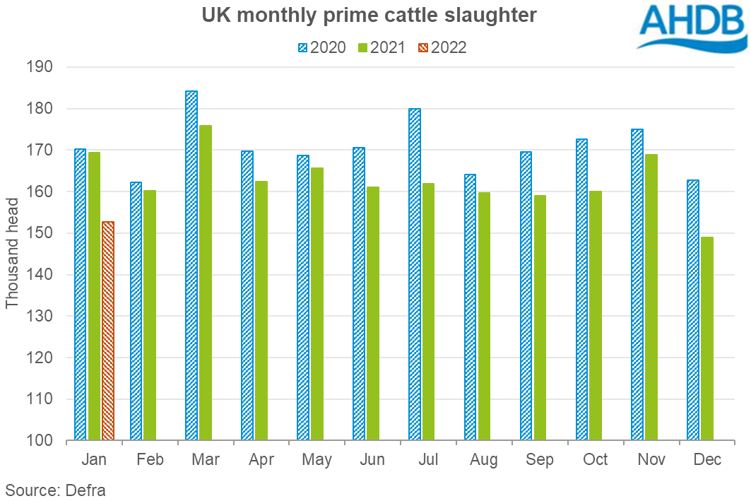 Graph showing monthly numbers of prime cattle slaughtered in the UK